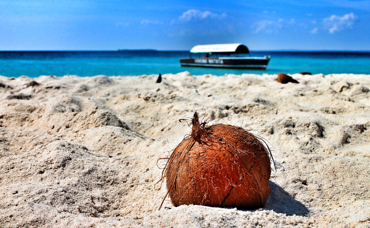 Pristine beaches of Zanzibar