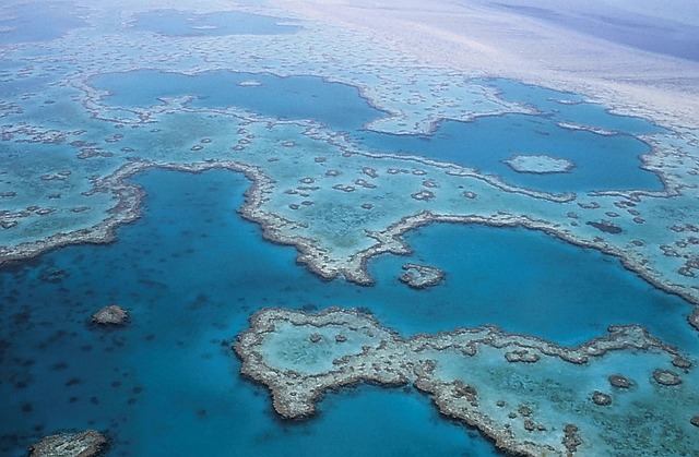 The Great Barrier Reef