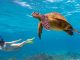 Ningaloo Reef: A Pearl in The West
