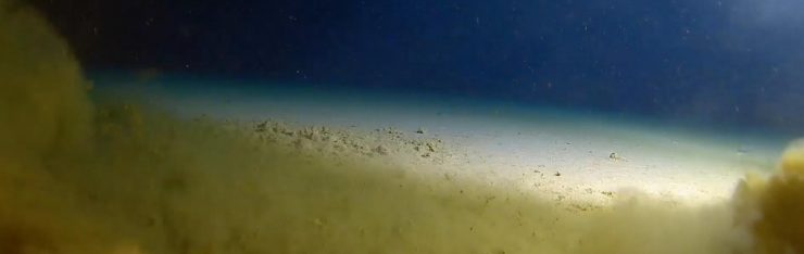 Scientists find plastic at the bottom of the Mariana Trench » Divebase Blog